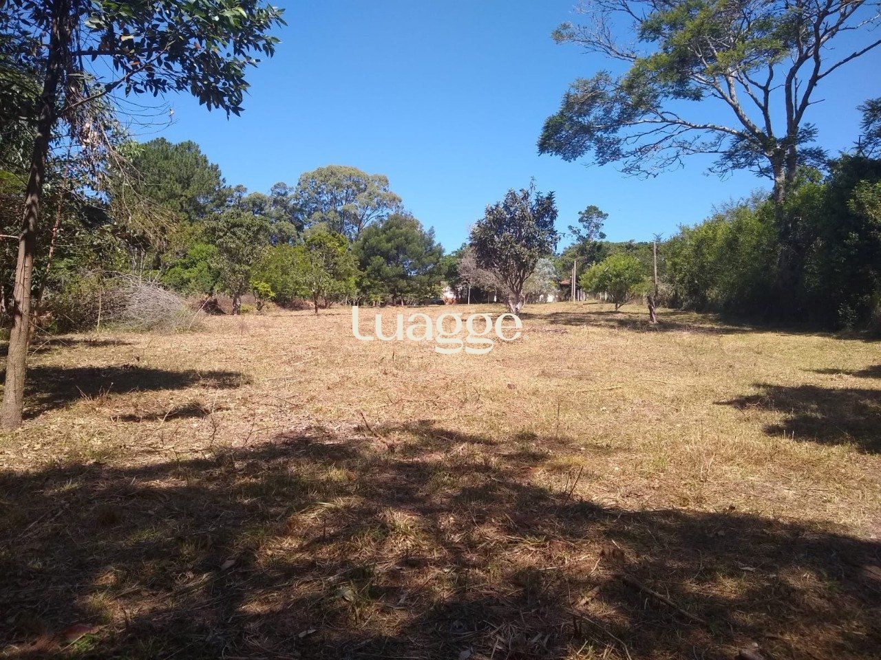 Sítio à venda com 3 quartos, 3961m² - Foto 13