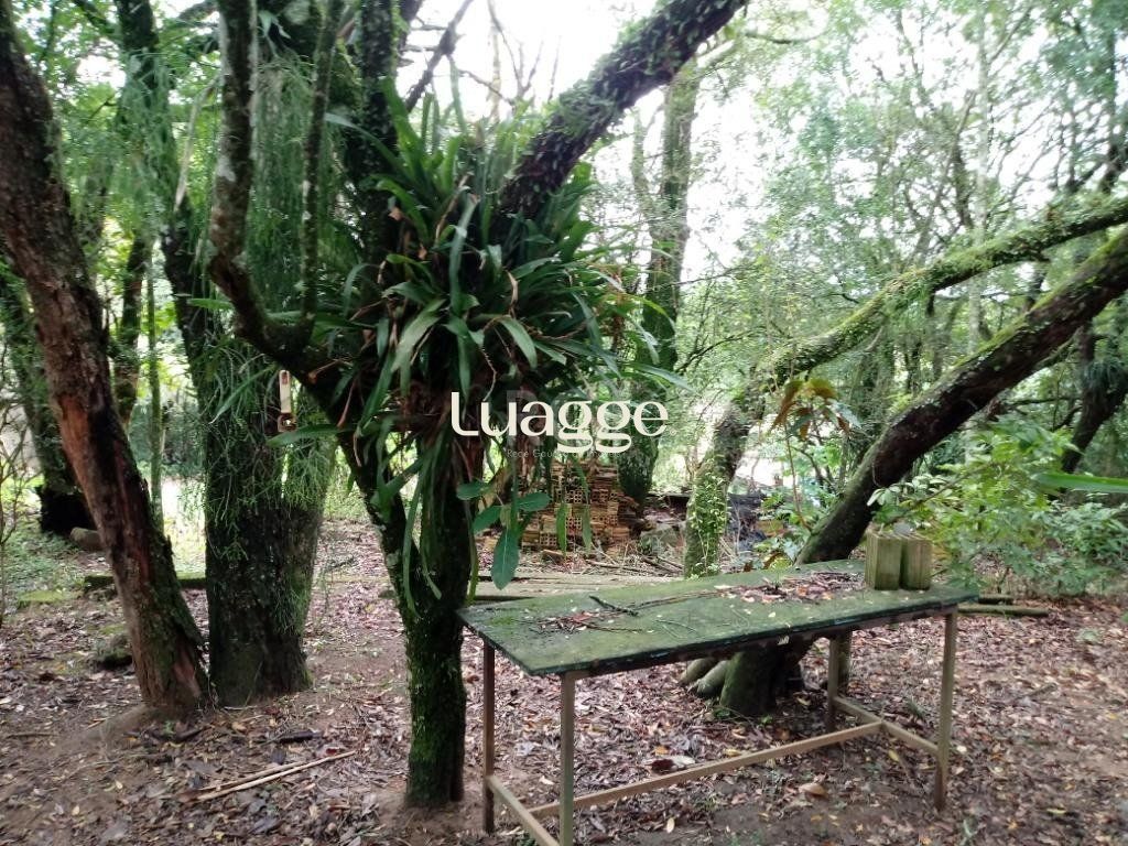 Sítio à venda com 3 quartos, 300m² - Foto 29