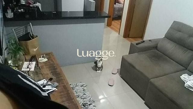 Apartamento, 2 quartos, 39 m² - Foto 4