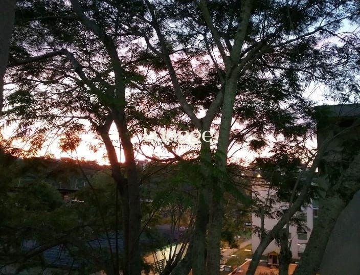 Apartamento à venda com 2 quartos, 53m² - Foto 28