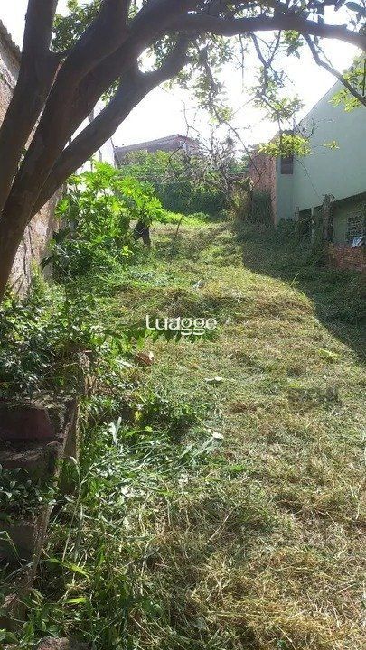 Terreno, 367 m² - Foto 2