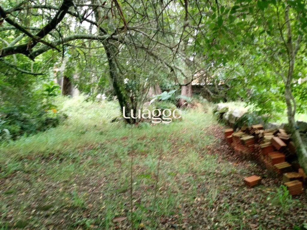 Sítio à venda com 3 quartos, 300m² - Foto 30
