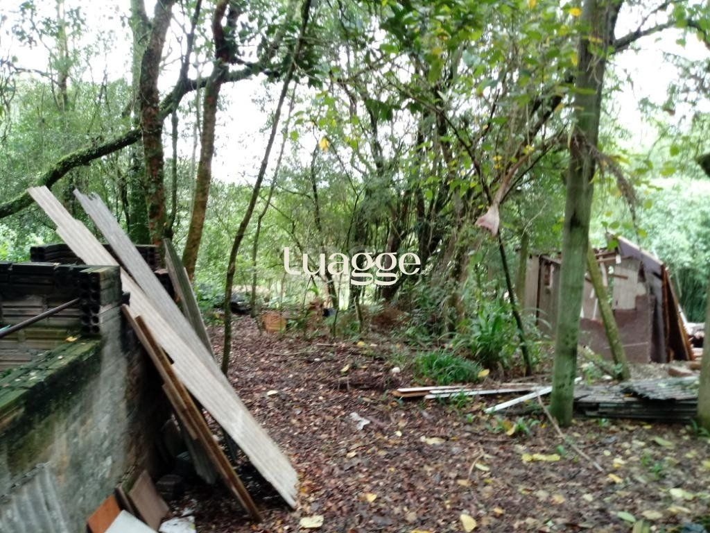 Sítio à venda com 3 quartos, 300m² - Foto 31
