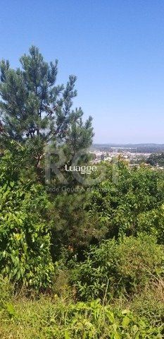 Terreno, 174 m² - Foto 5