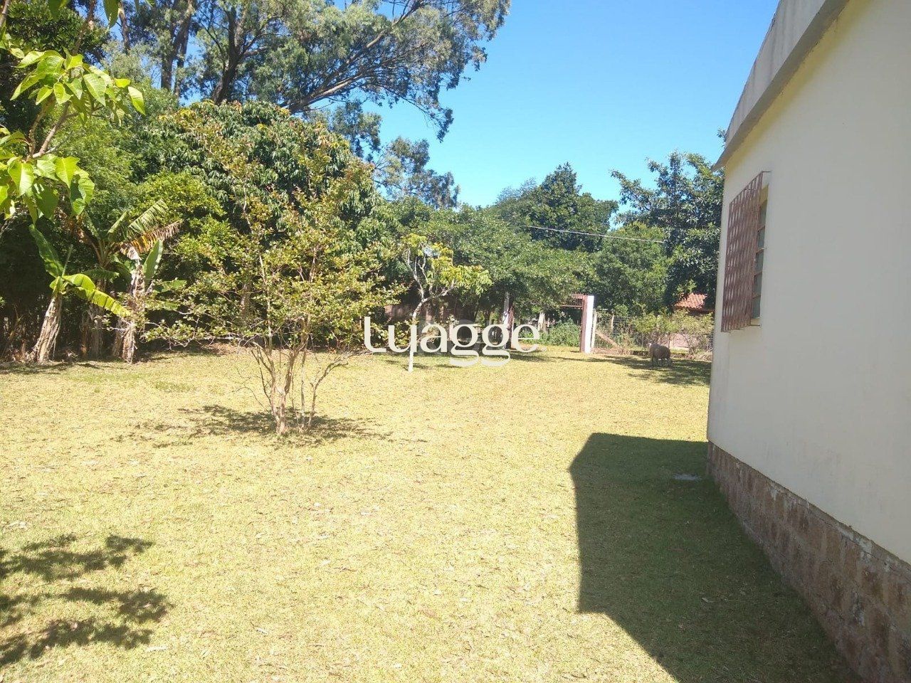 Sítio à venda com 3 quartos, 3961m² - Foto 3