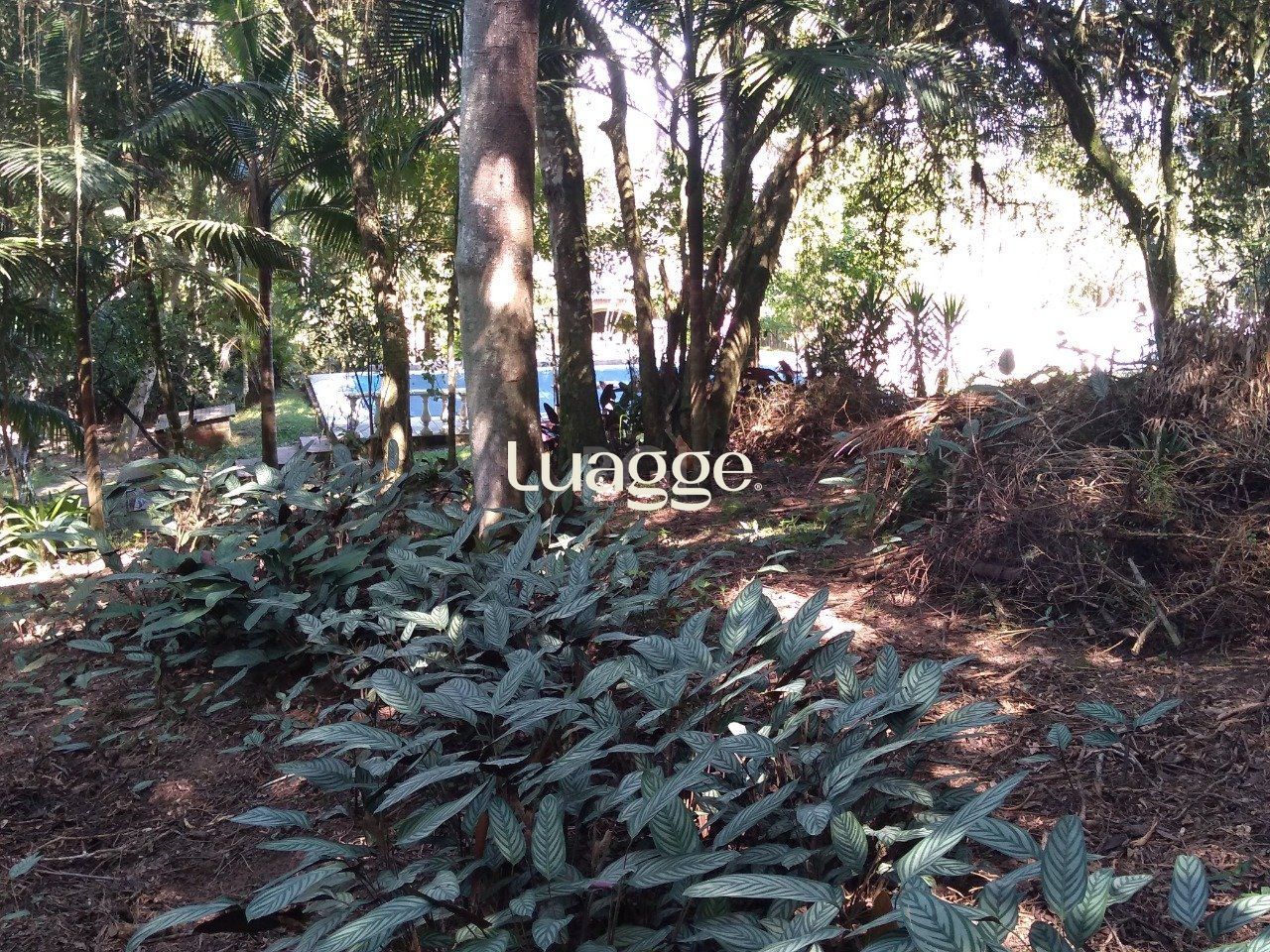 Sítio à venda com 13 quartos, 6662m² - Foto 88