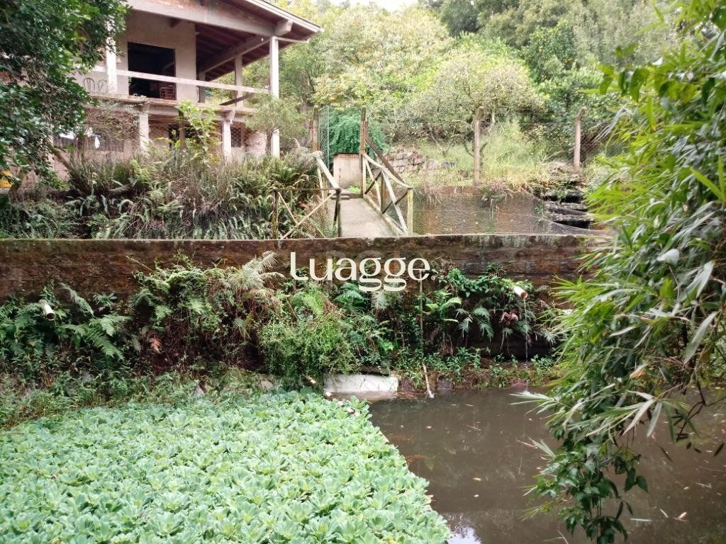 Sítio à venda com 3 quartos, 300m² - Foto 5