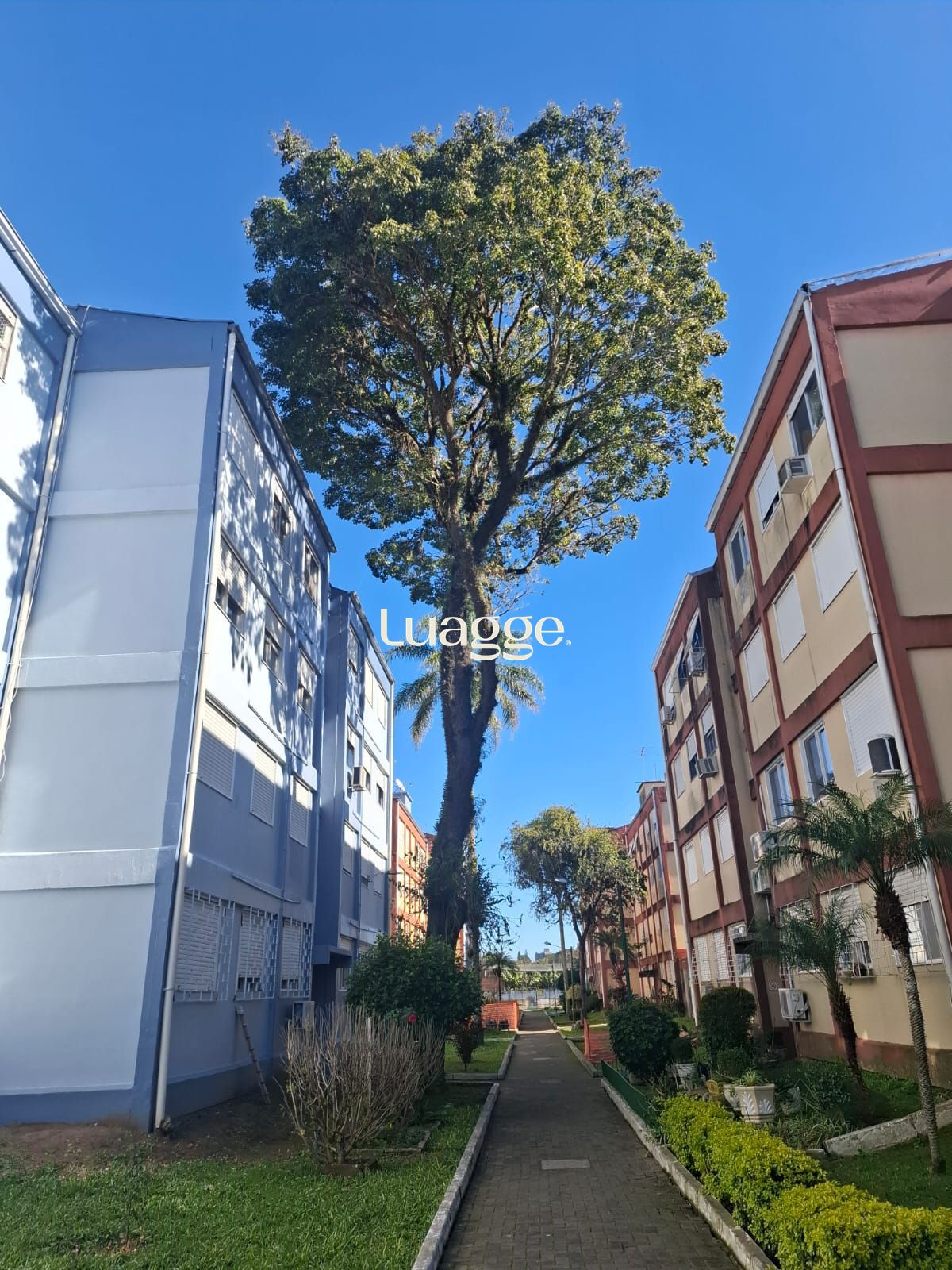 Apartamento, 2 quartos, à venda, 48 m², Camaquã - Porto Alegre — foto 3