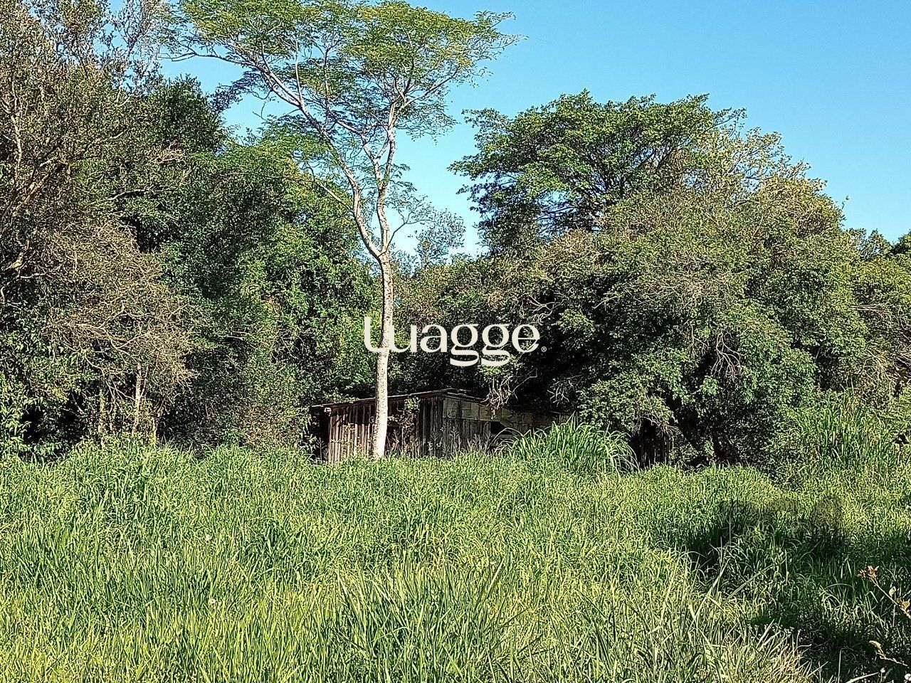 Sítio à venda com 2 quartos, 20011m² - Foto 40