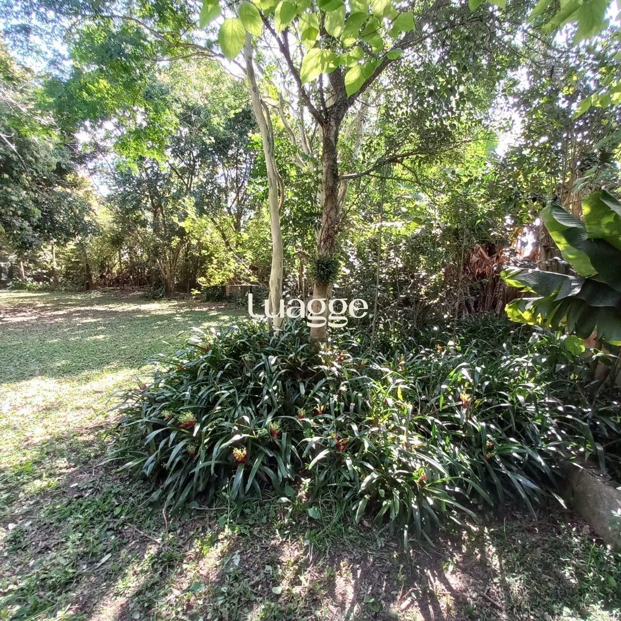 Terreno à venda, 521m² - Foto 3
