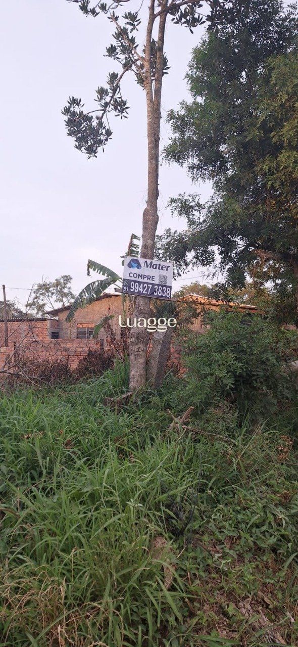 Terreno, 301 m² - Foto 28