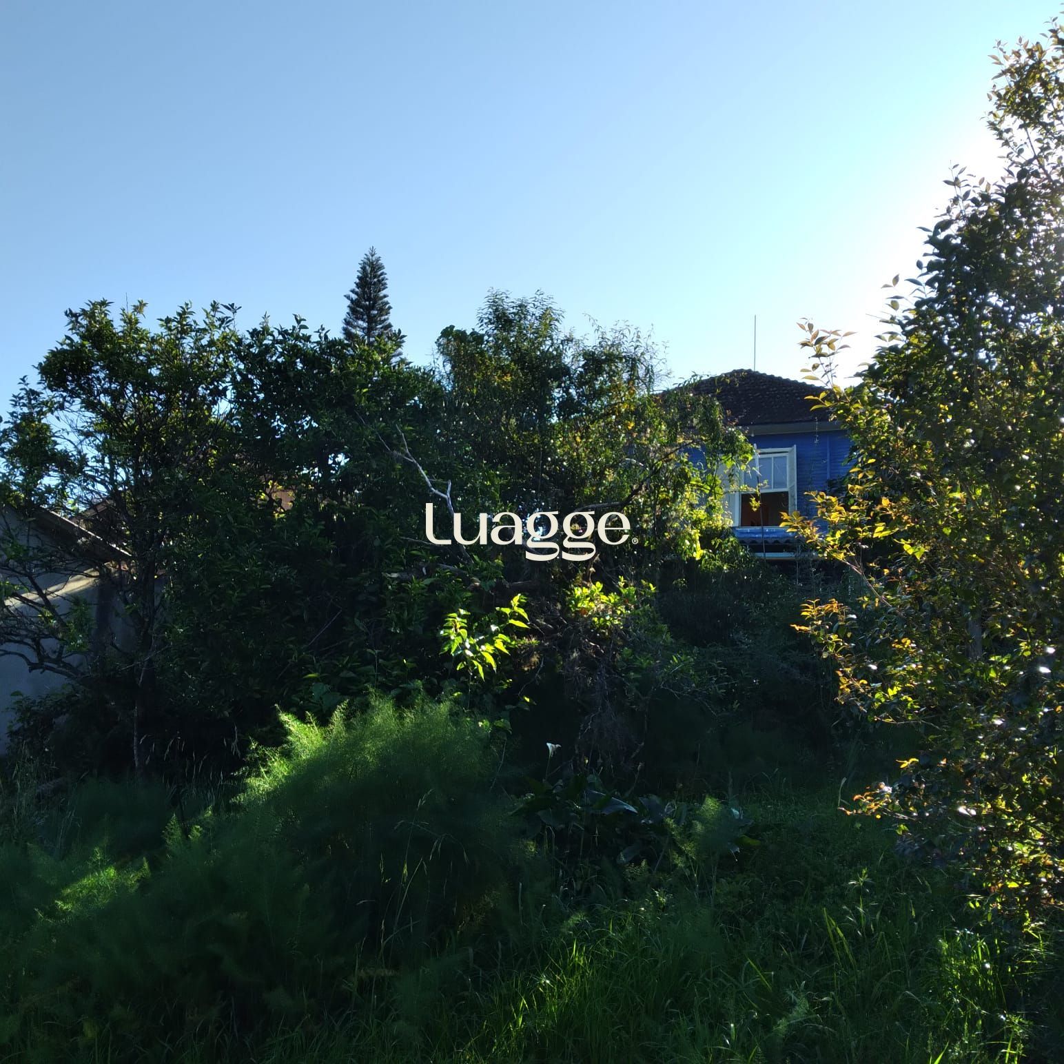 Terreno à venda, 824m² - Foto 6