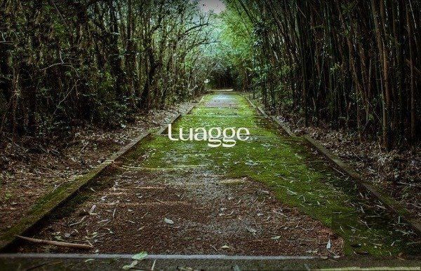 Terreno, 201 m² - Foto 10