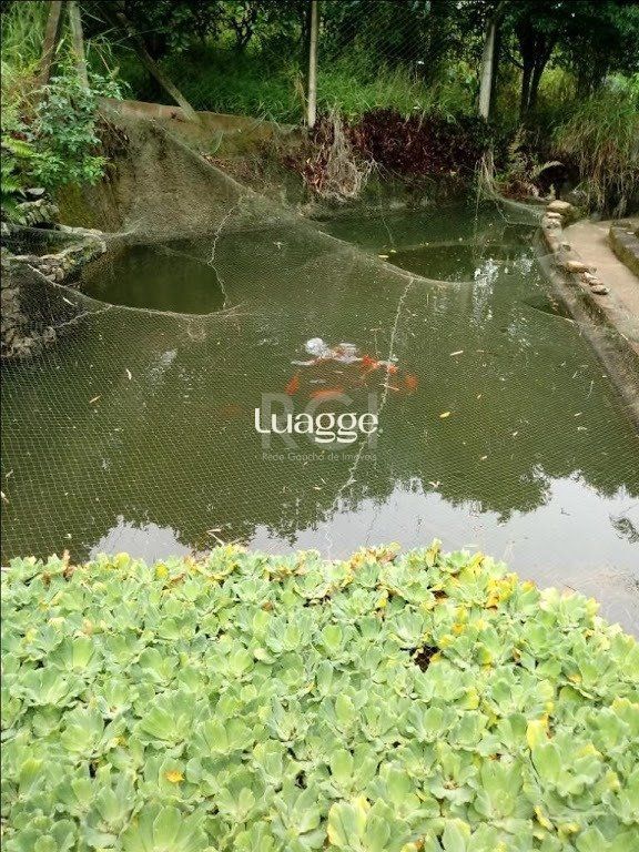 Sítio à venda com 3 quartos, 300m² - Foto 6