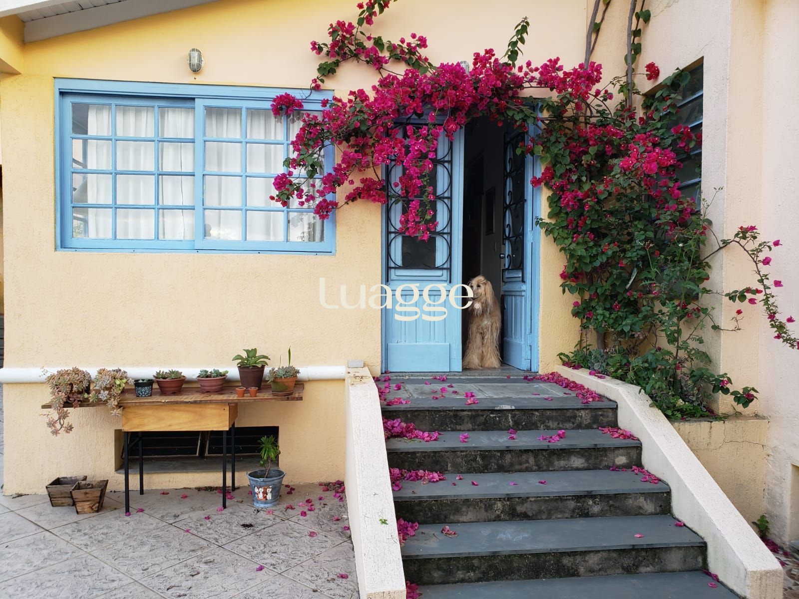 Casa à venda com 3 quartos, 242m² - Foto 2