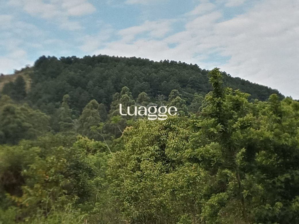 Terreno, 148 m² - Foto 6