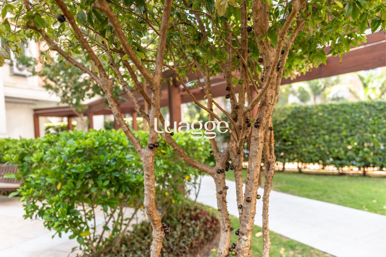 Apartamento, 2 quartos, 69 m² - Foto 26