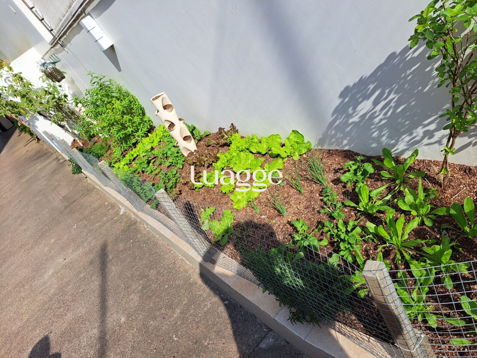 Apartamento, 2 quartos, 60 m² - Foto 28