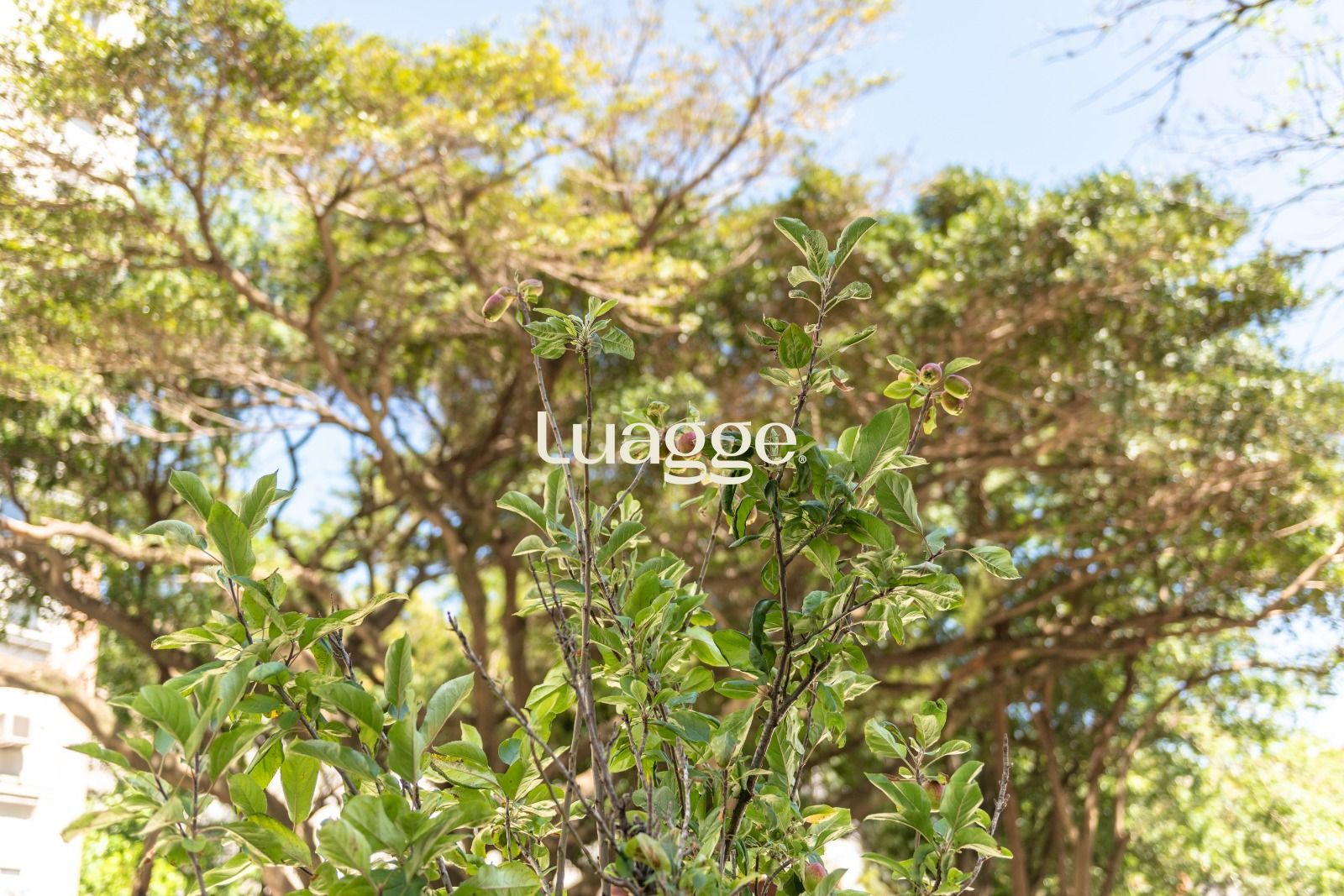 Apartamento, 2 quartos, 69 m² - Foto 25