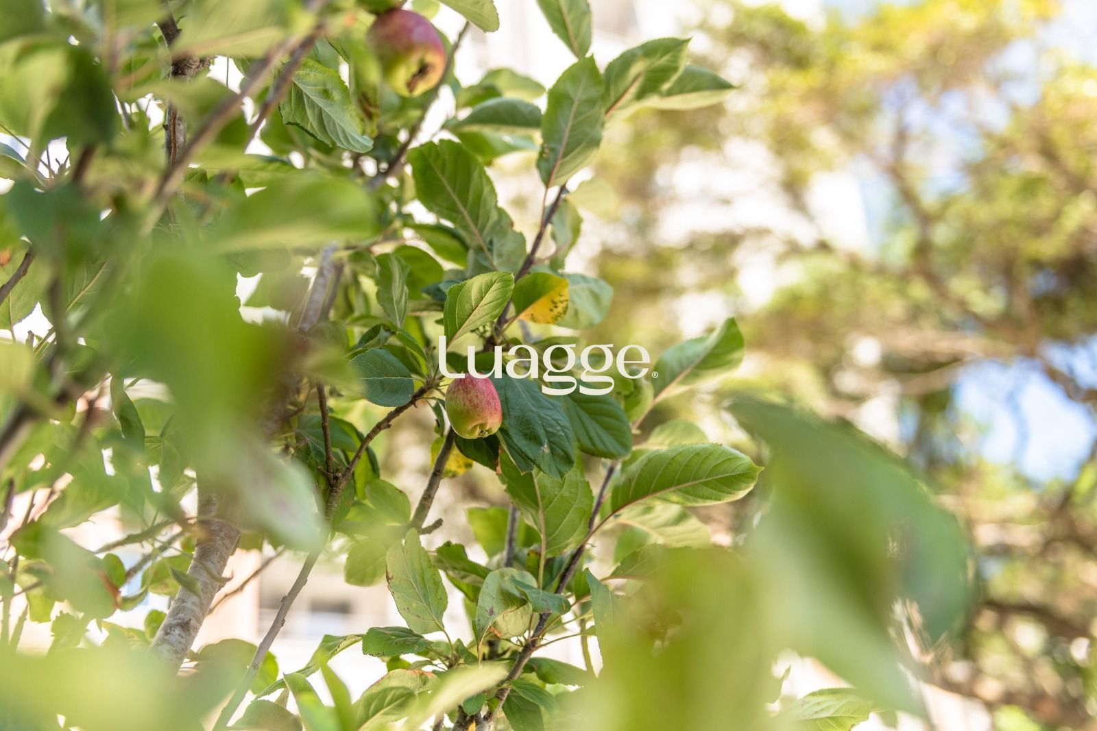 Apartamento, 2 quartos, 69 m² - Foto 24