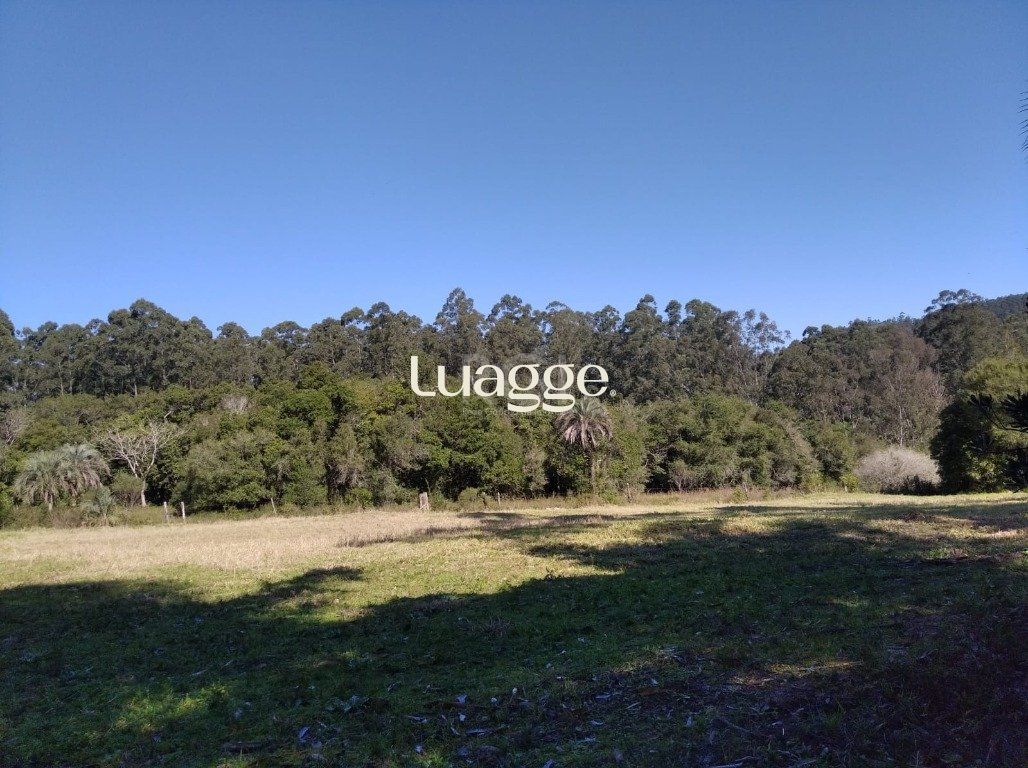 Sítio à venda, 2500m² - Foto 4