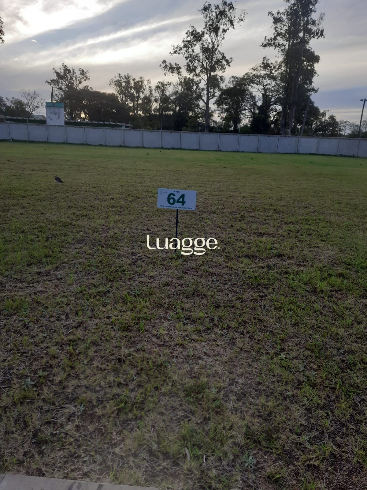 Terreno, 141 m² - Foto 9