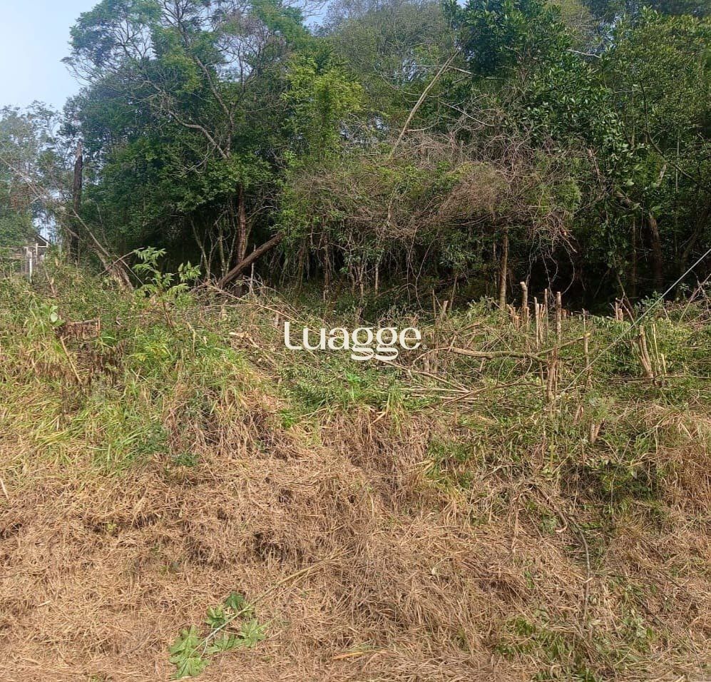 Terreno, 801 m² - Foto 7