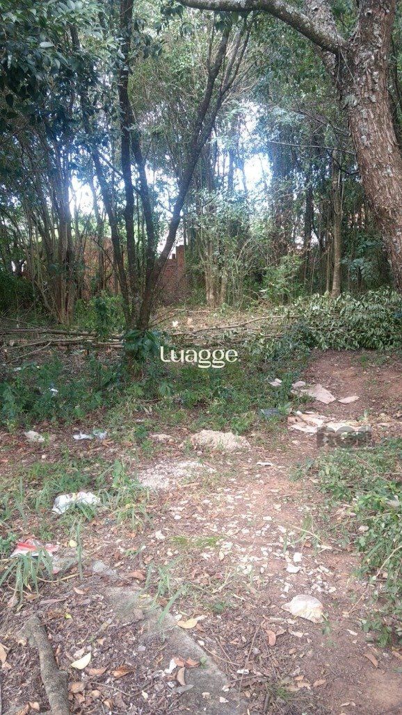 Terreno, 301 m² - Foto 4