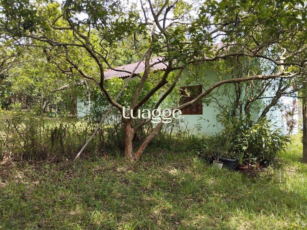 Casa à venda com 3 quartos, 359m² - Foto 33