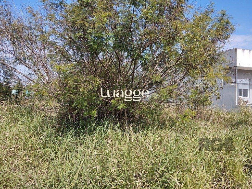 Terreno, 126 m² - Foto 8