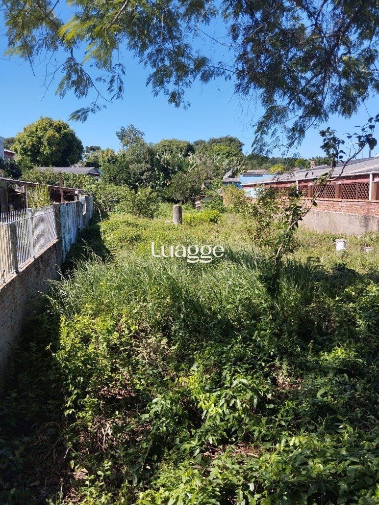Terreno à venda, 441m² - Foto 6