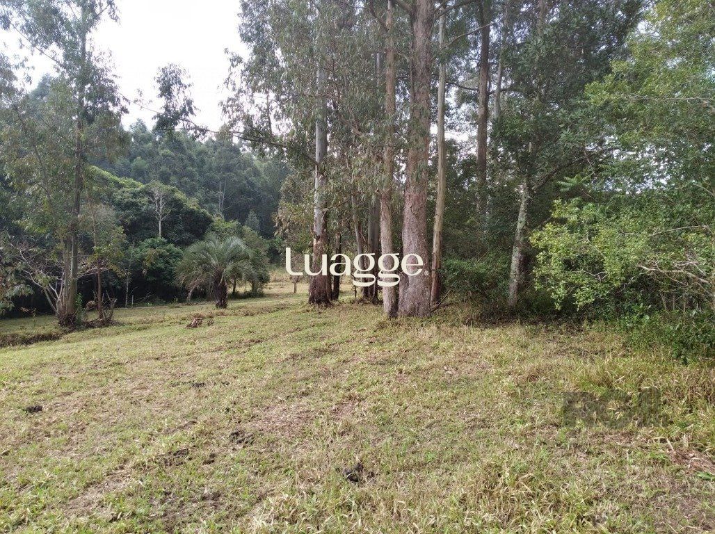 Terreno, 2501 m² - Foto 4