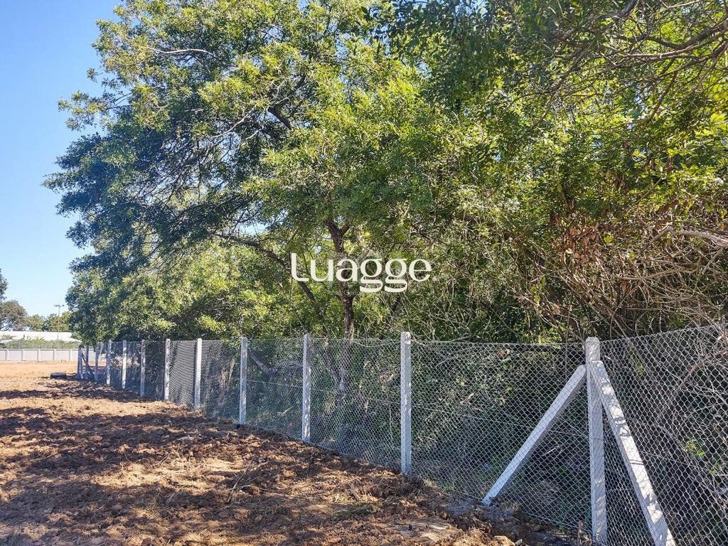 Terreno, 133 m² - Foto 6