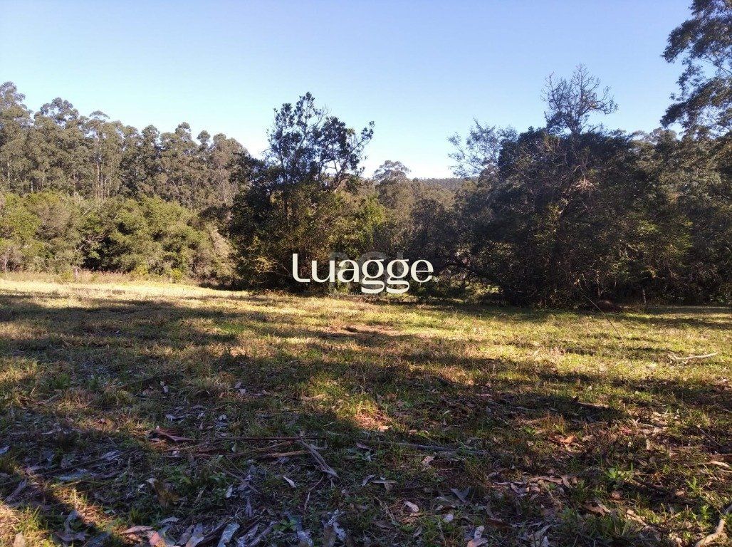 Sítio à venda, 2500m² - Foto 3