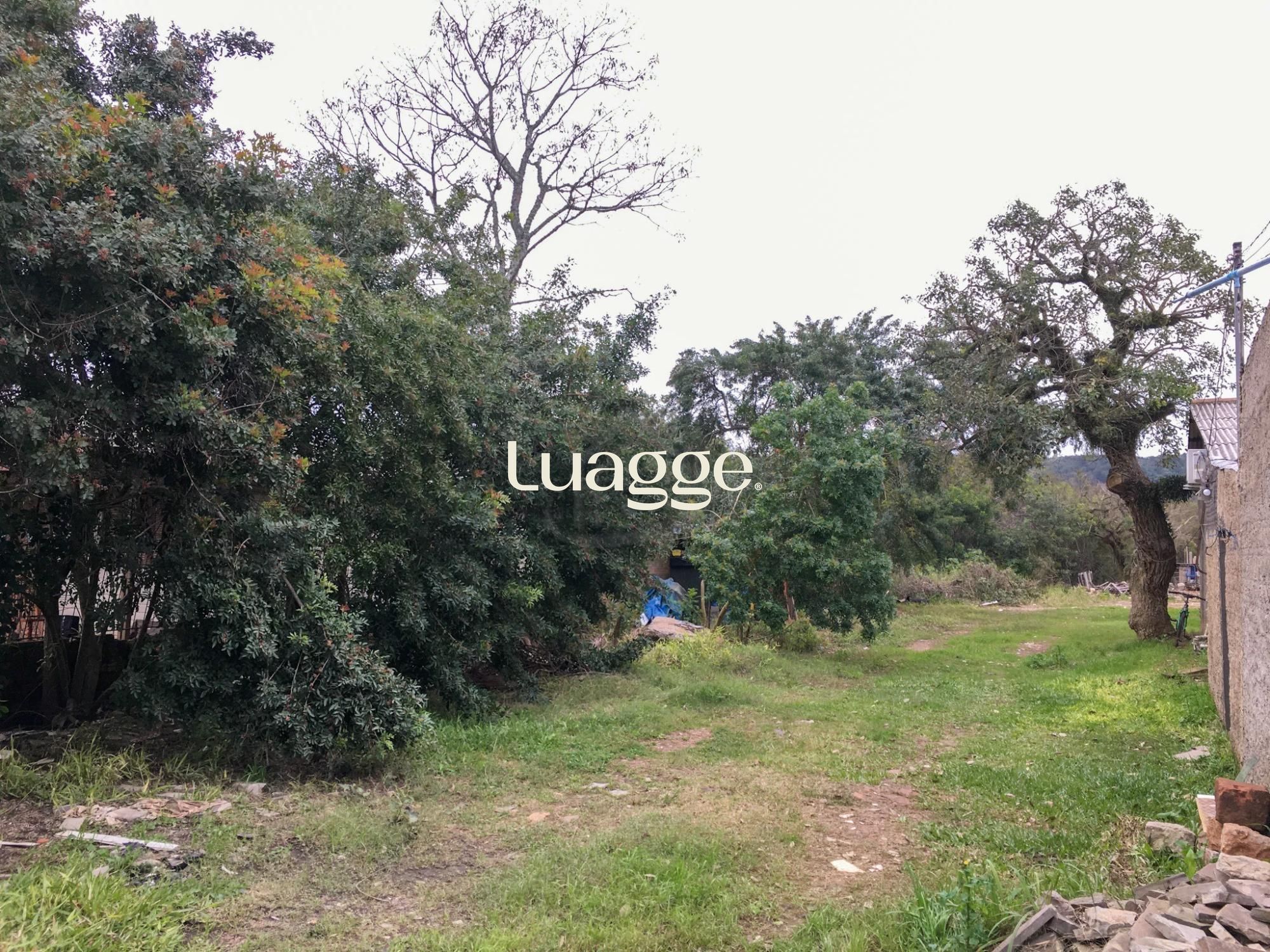 Terreno, à venda, Aberta dos Morros - Porto Alegre — foto 3