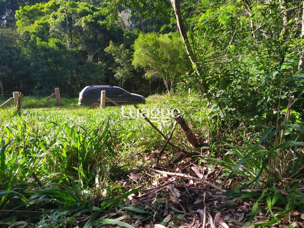 Terreno, à venda, Área Rural de Itapuã - Viamão — foto 3
