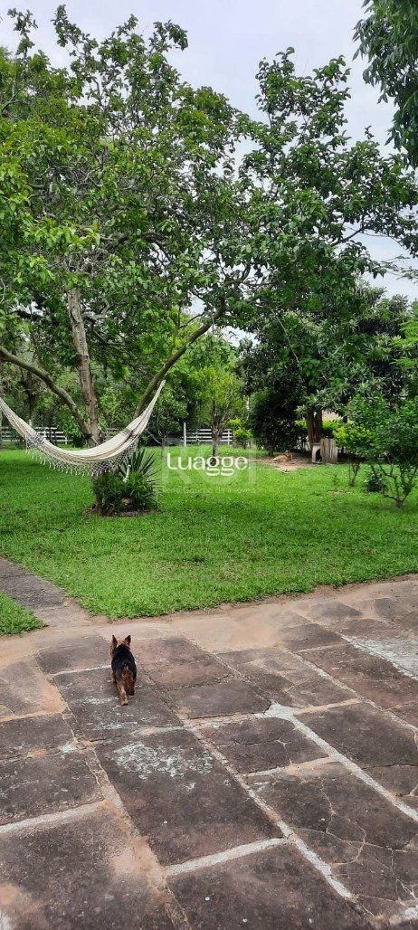 Sítio à venda com 3 quartos, 159m² - Foto 20