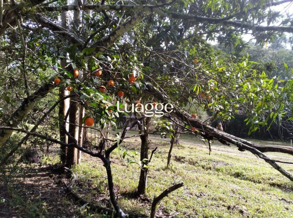 Terreno, 2501 m² - Foto 4