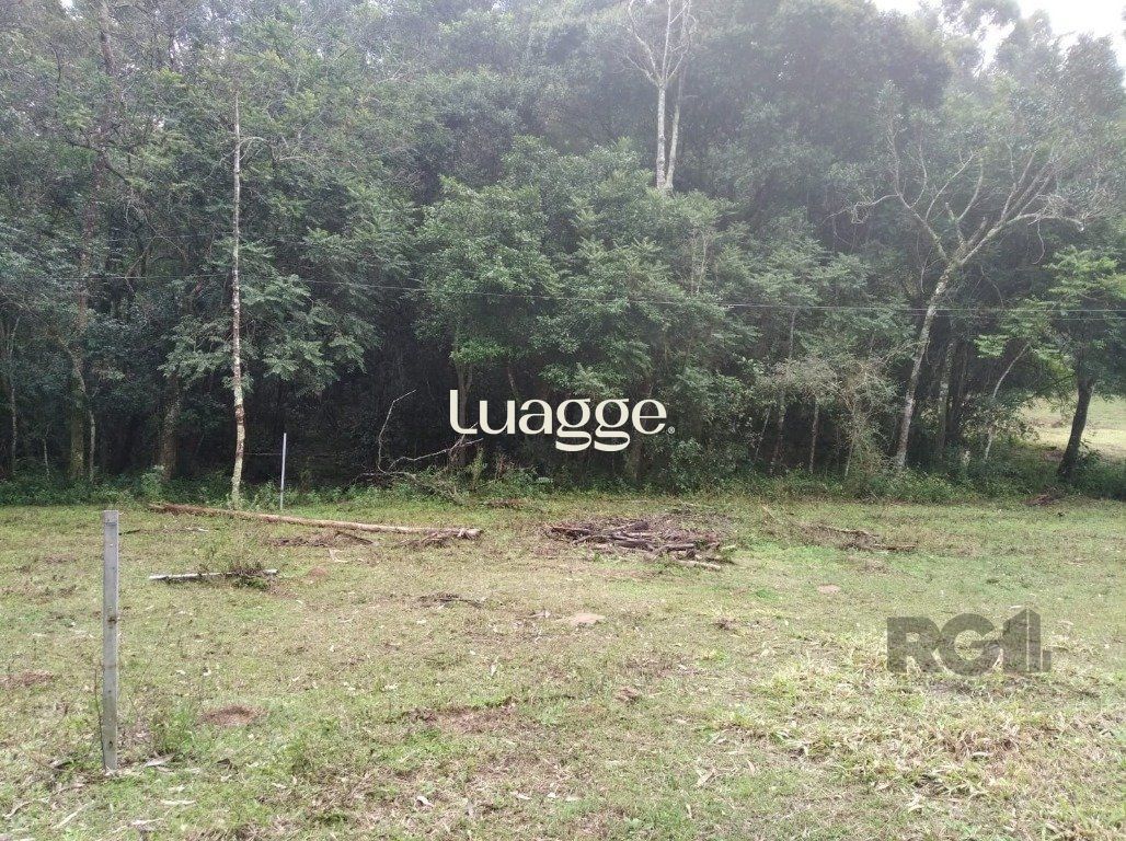 Terreno, 2501 m² - Foto 7