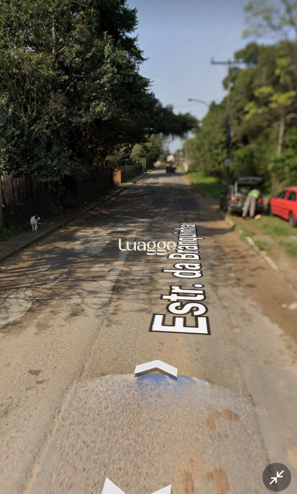 Terreno, 4 hectares - Foto 1