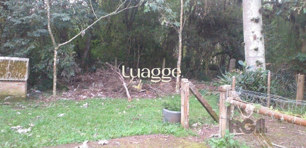 Sítio à venda com 3 quartos, 252m² - Foto 11