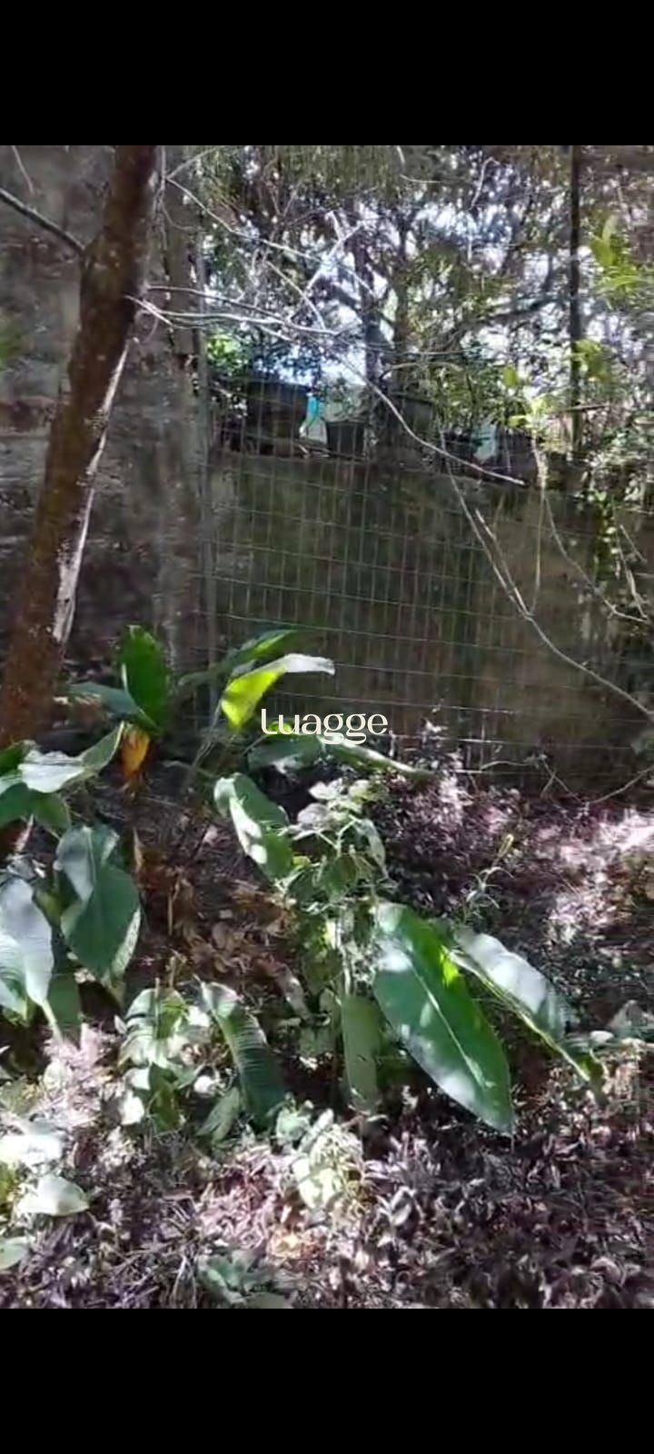 Chácara à venda, Lageado - Porto Alegre