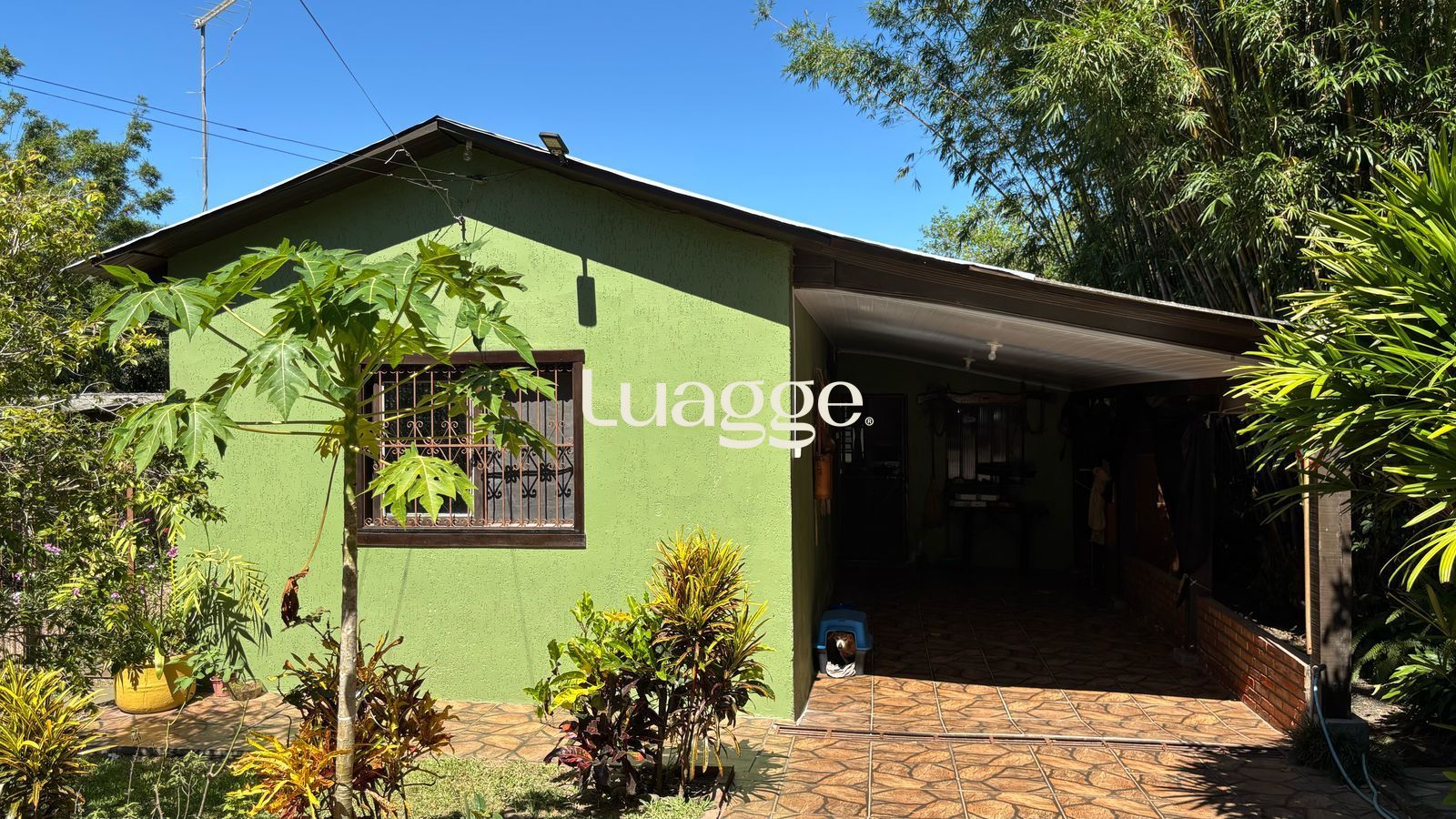 Sítio à venda com 5 quartos, 207m² - Foto 5