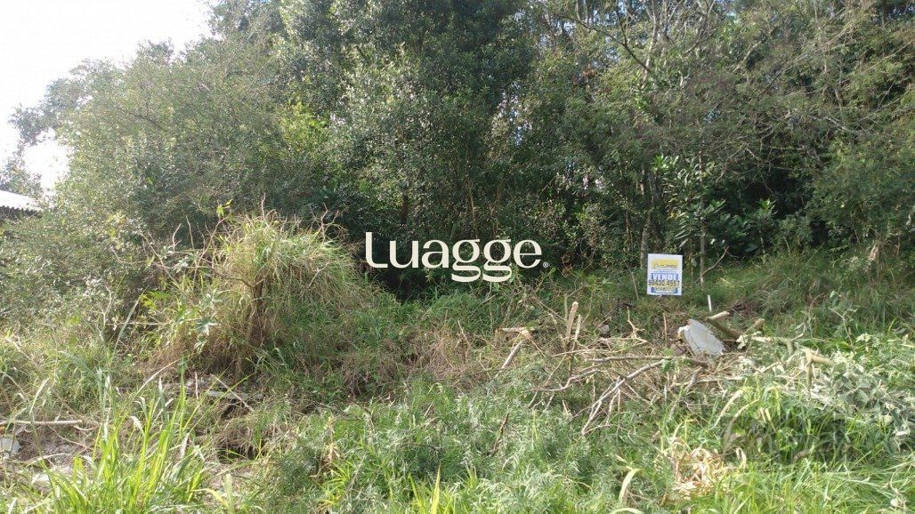 Terreno, 301 m² - Foto 2