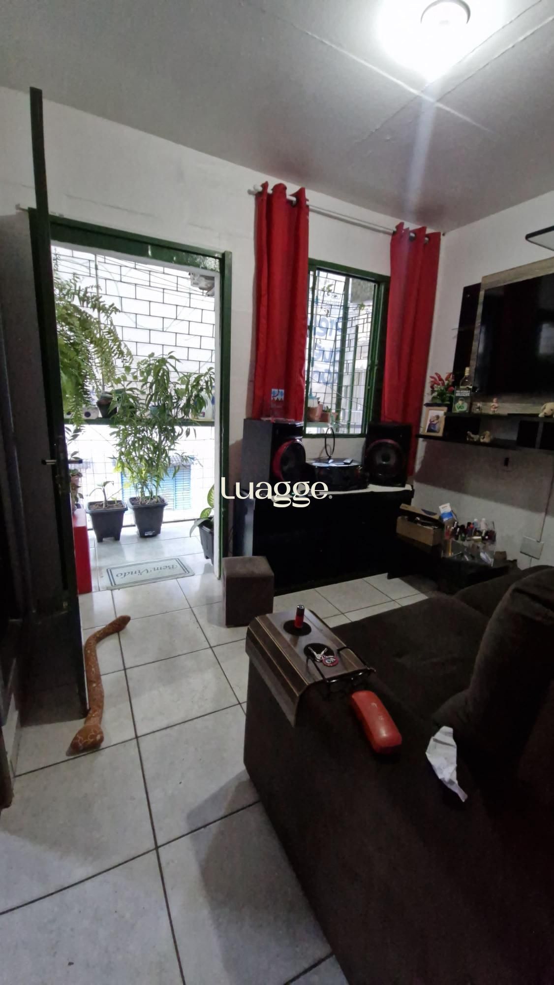 Apartamento, 2 quartos, 37 m² - Foto 3