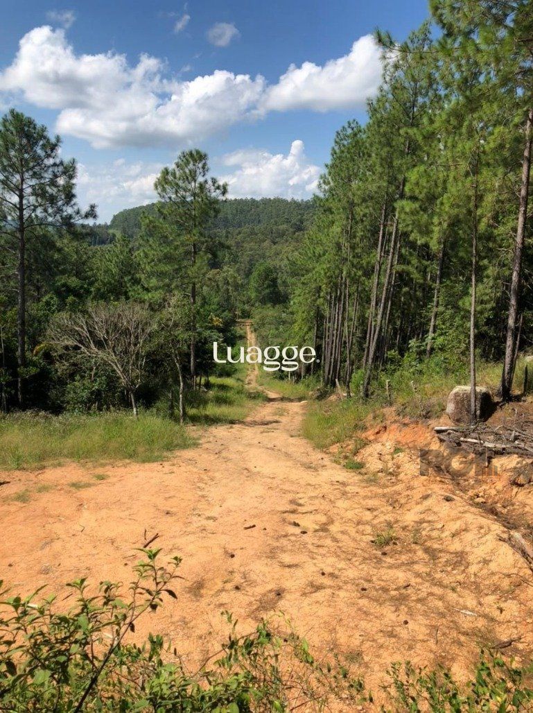 Terreno à venda, 3402m² - Foto 4