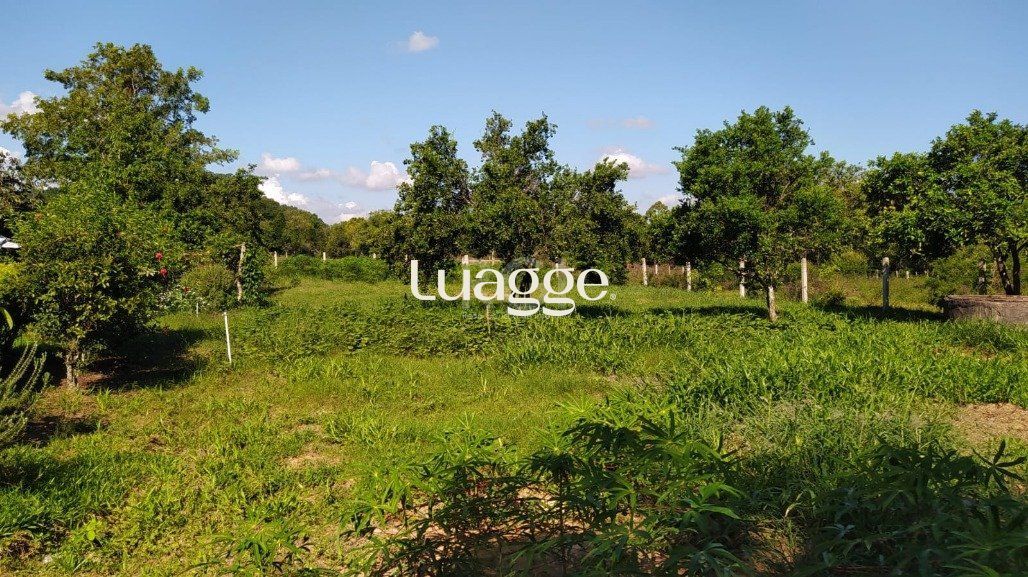 Sítio à venda com 3 quartos, 159m² - Foto 13