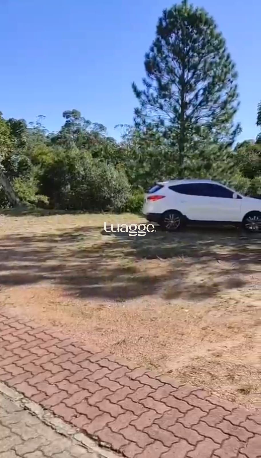 Terreno, 301 m² - Foto 6