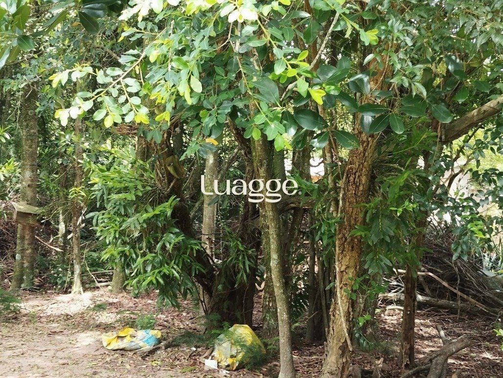 Casa à venda com 3 quartos, 359m² - Foto 30