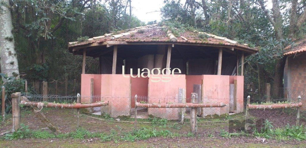 Sítio à venda com 3 quartos, 252m² - Foto 12